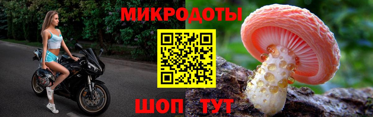 Галлюциногенные грибы Cubensis Ялта